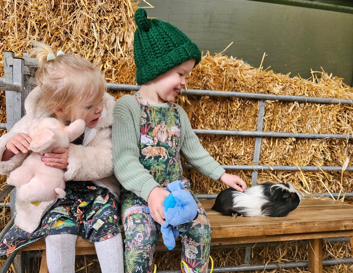 Small animal Experience