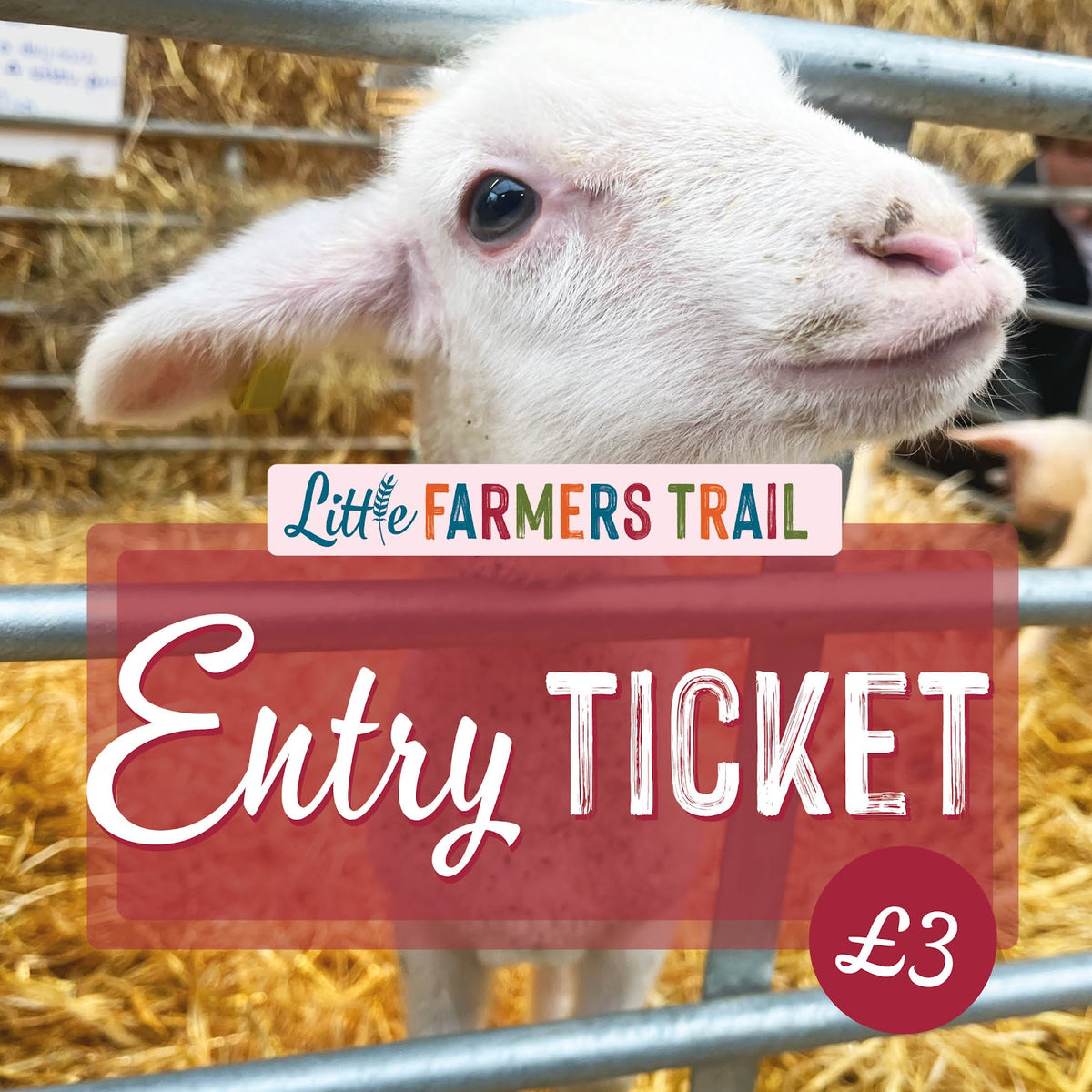 Little Farmers DAY TICKET