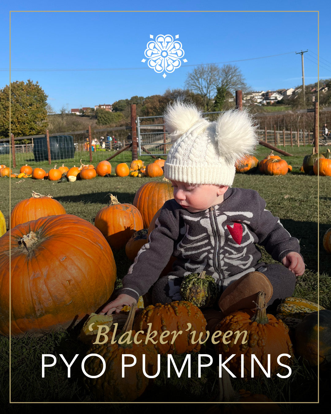 Pumpkin picking & painting