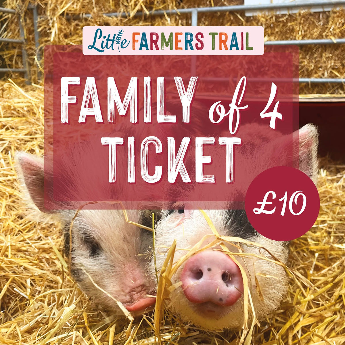 Little Farmers FAMILY DAY TICKET (for 4)