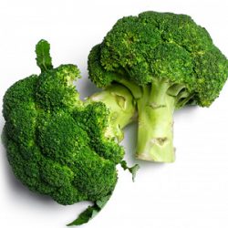 Fresh Broccoli