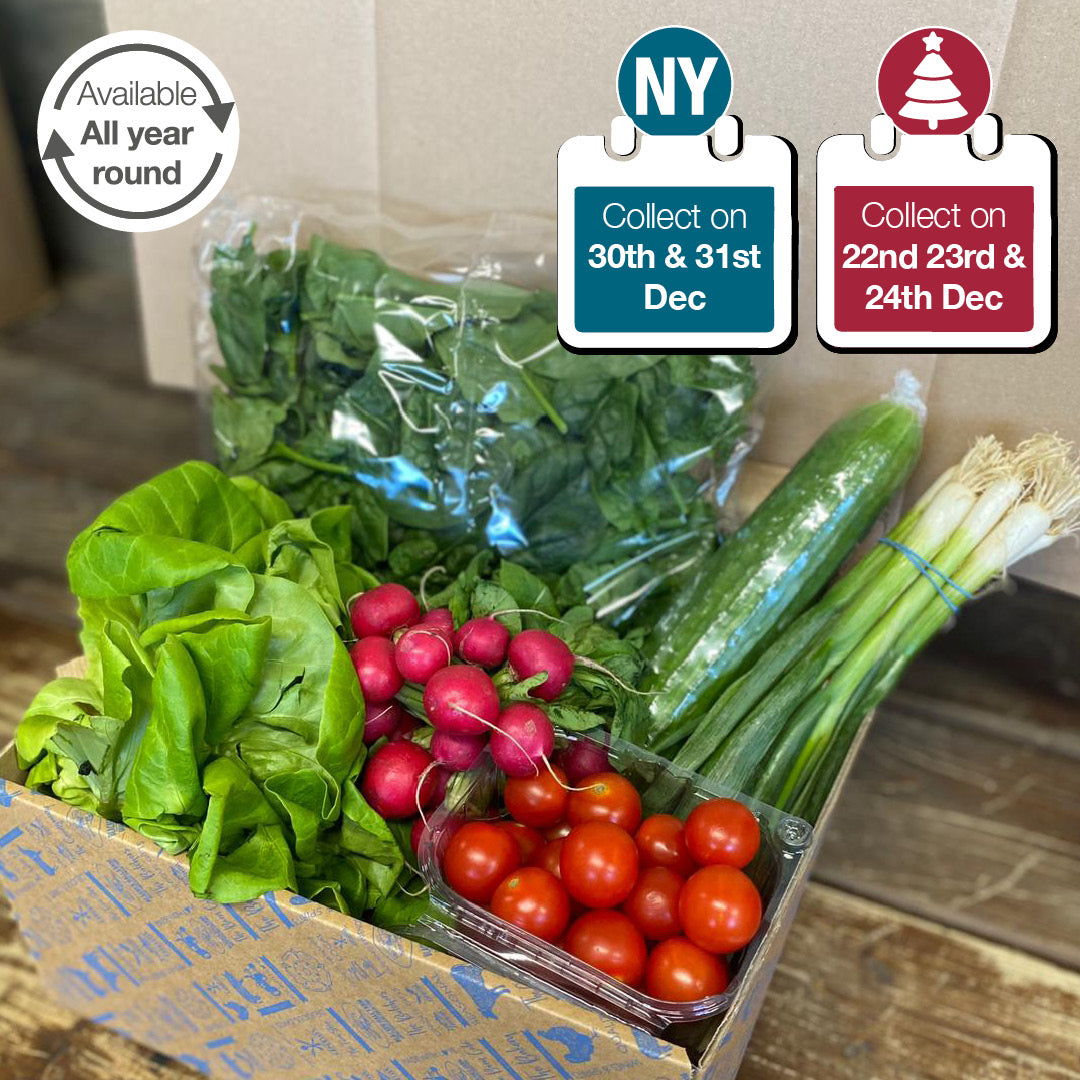Salad Box